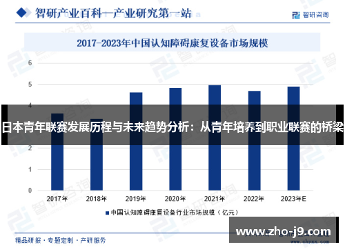 日本青年联赛发展历程与未来趋势分析：从青年培养到职业联赛的桥梁