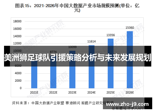 美洲狮足球队引援策略分析与未来发展规划